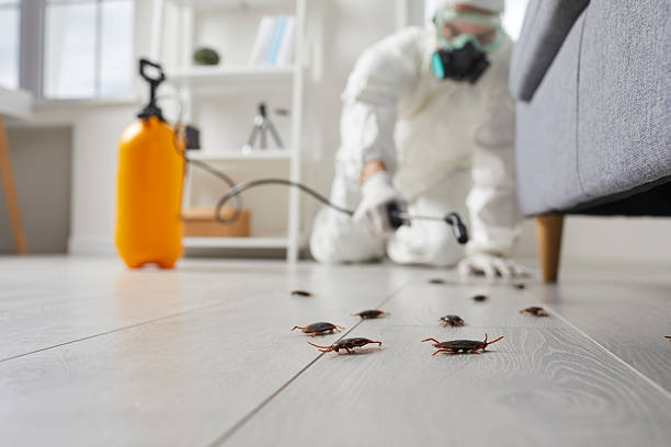 Commercial Kitchen Cockroach Control in Eden